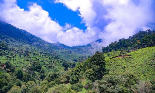 Coonoor