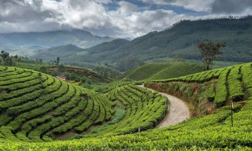 Wayanad