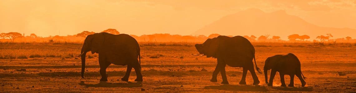 Wildlife Hotspots
