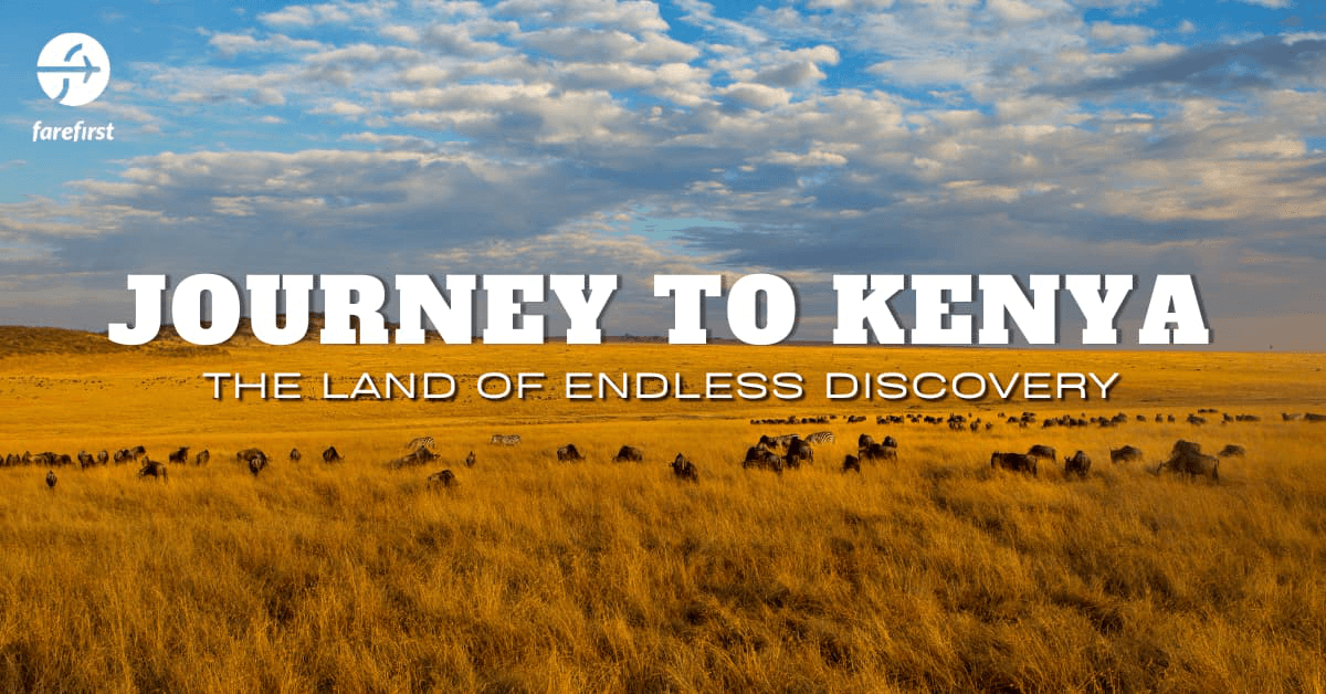 Journey to Kenya: The Land of Endless Discovery